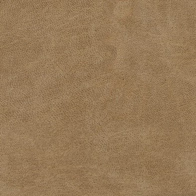 Bull Caramel 16