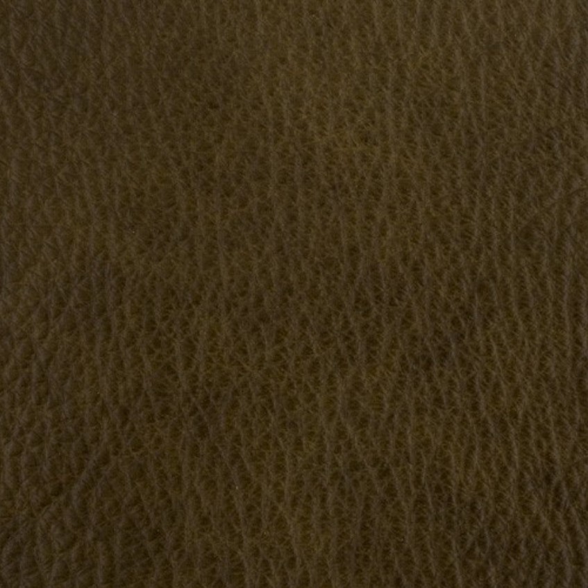 Coach Dark Olive 55055