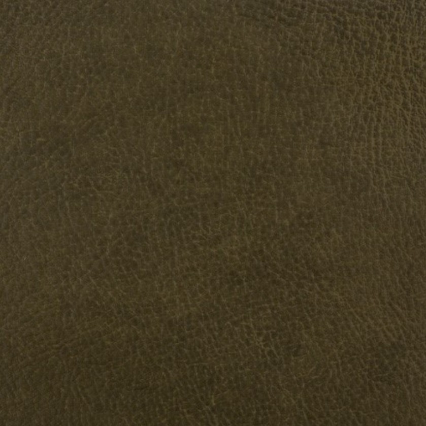 Coach Olive 55054
