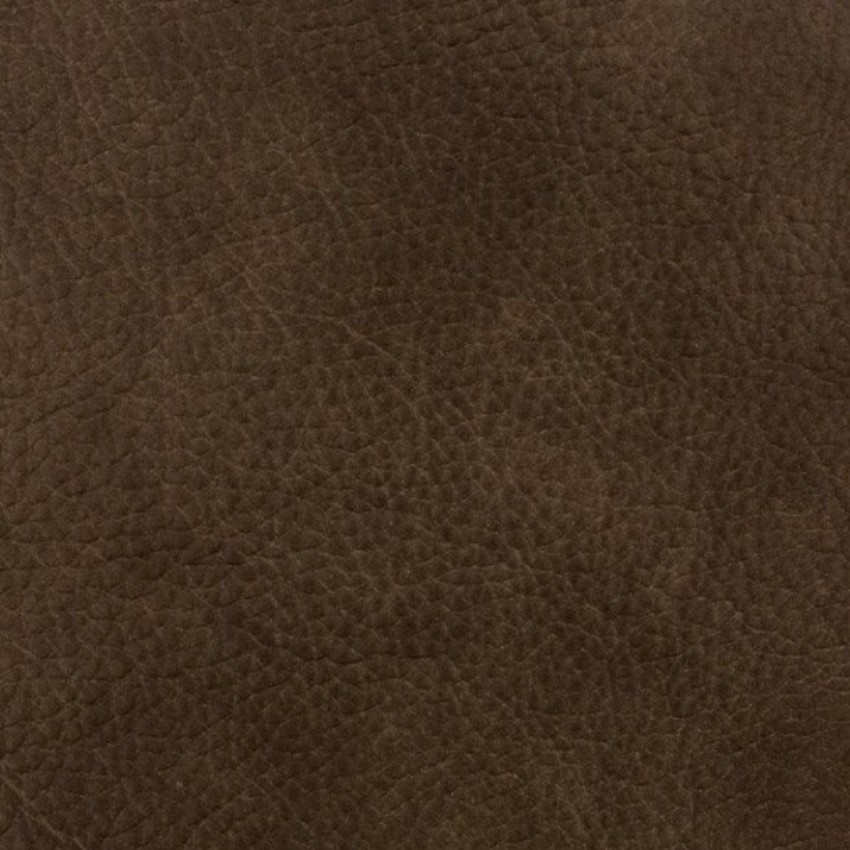 Coach Smoke 55025