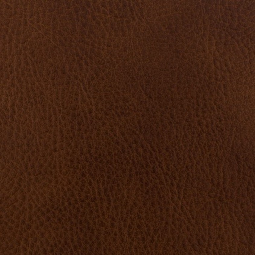 Coach Brown 55001