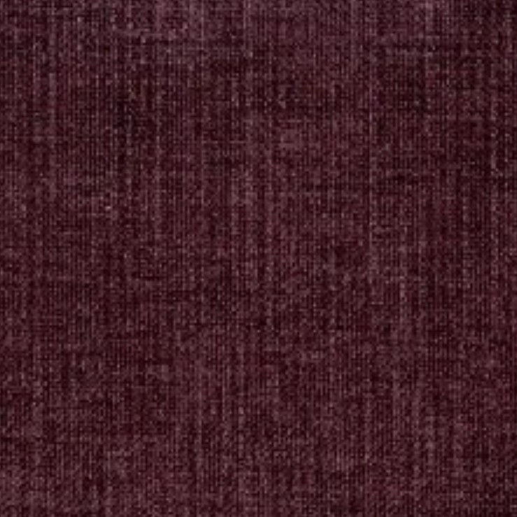 Terranova 19