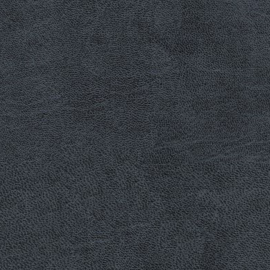 Bull Darkblue 48