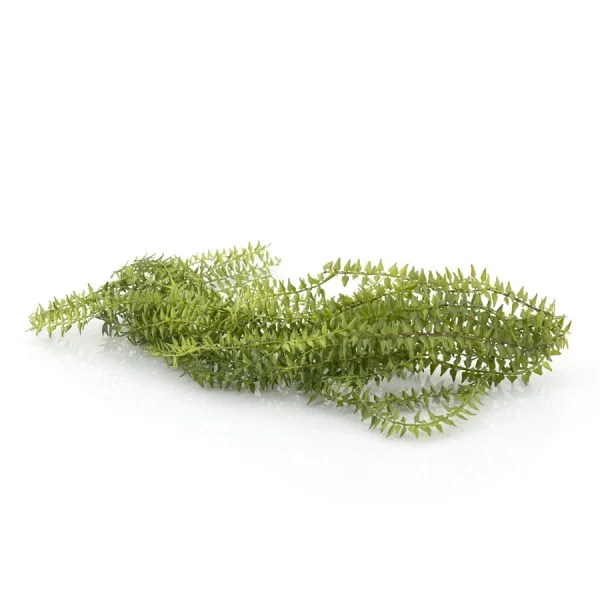 132034