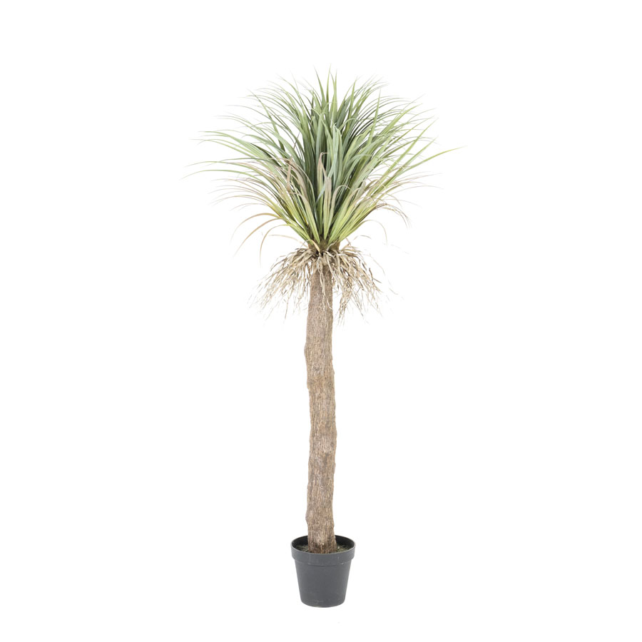 Kunstpflanze Wild Yucca Baum – mittel