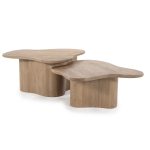 Couchtisch Fall Set mit 2 Stück Organisch Natur
