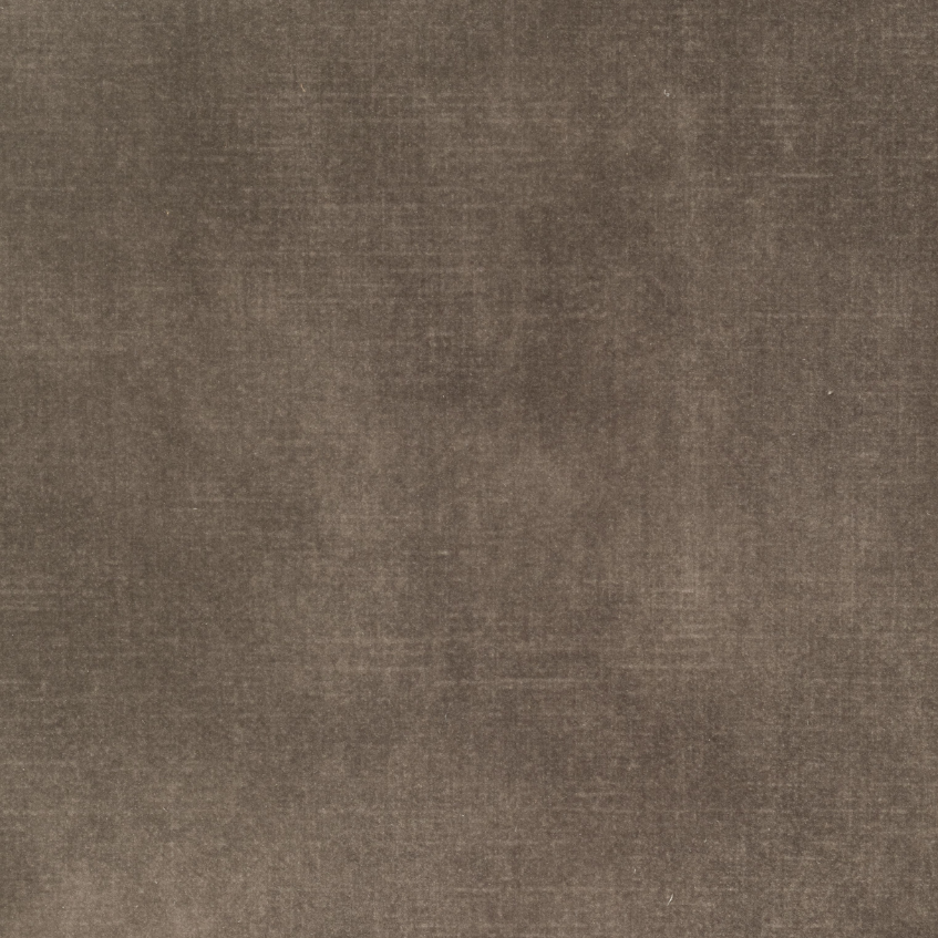 Adore Latte 211