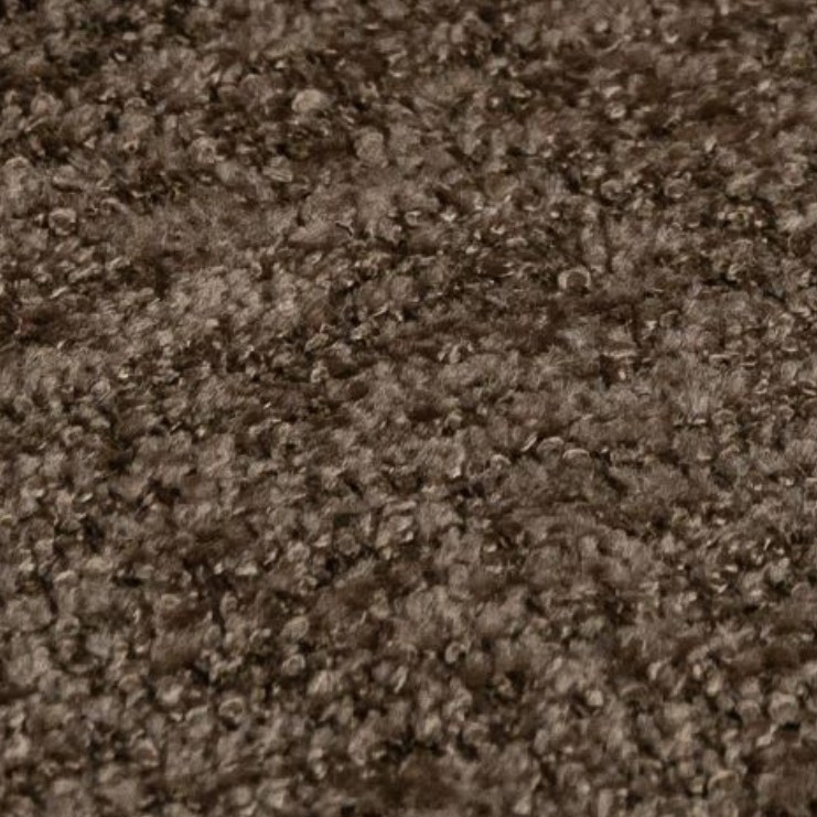 Toro 50