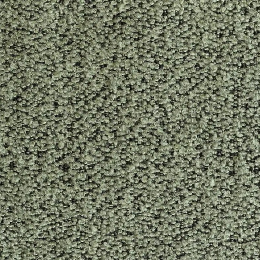 Alpine Thyme 206