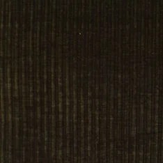 Bodega Forest 162