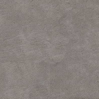 Bull Grey 65