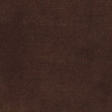 Adore Coffee 81