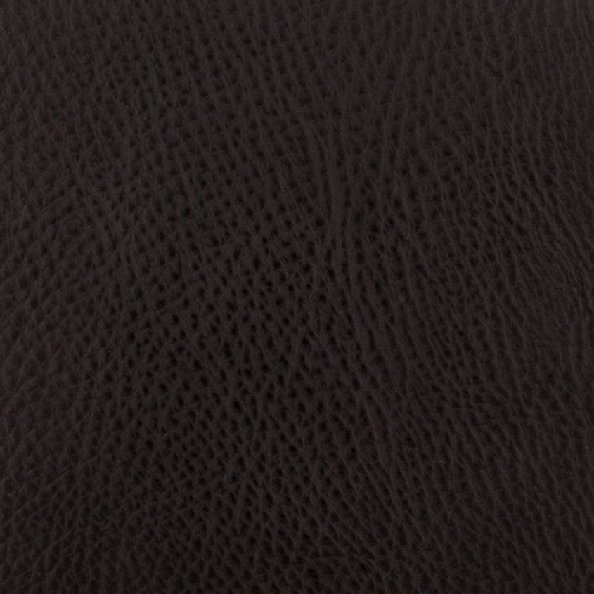Coach Coal 55008